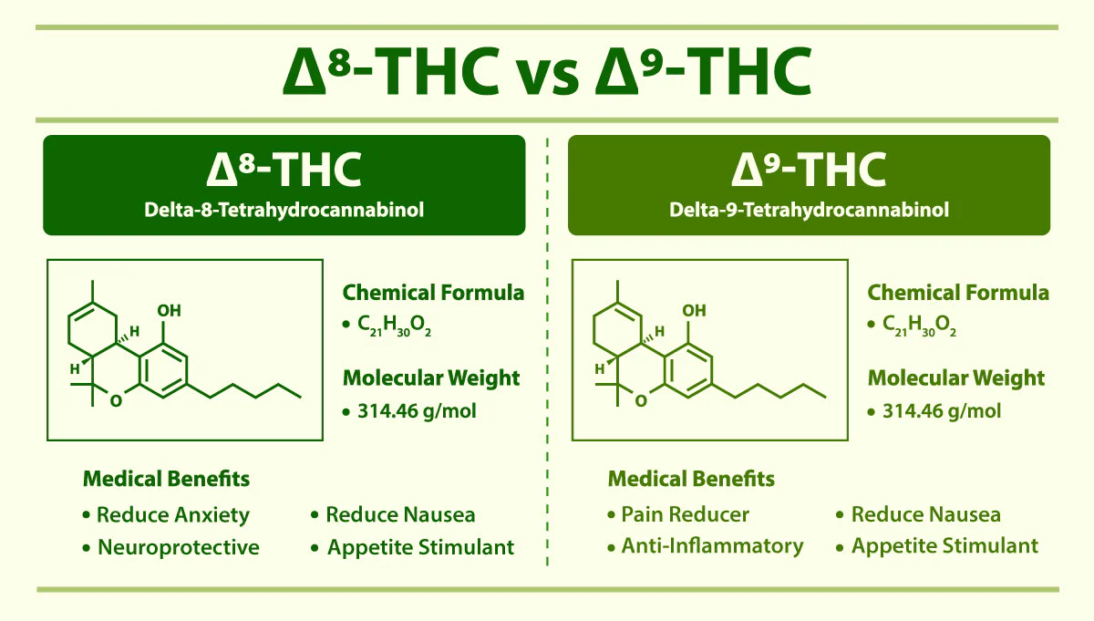 Is Thc-a Stronger Than Delta 9 The Complete Guide to Understanding Delta 9 THC, Delta 9 THCa, and