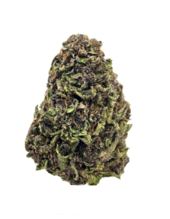 gorilla-skunk-thca